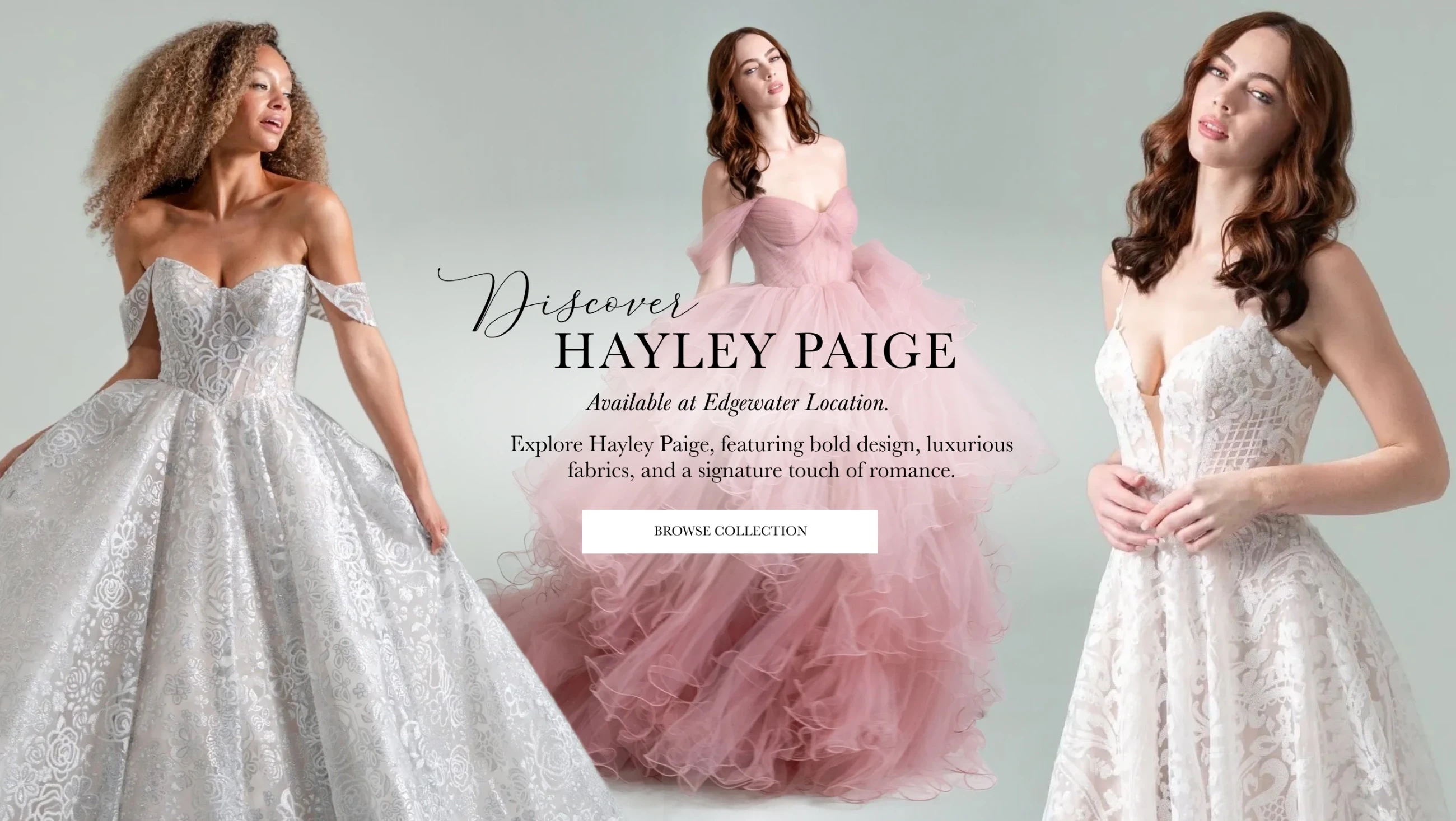 Hayley Paige Desktop Banner