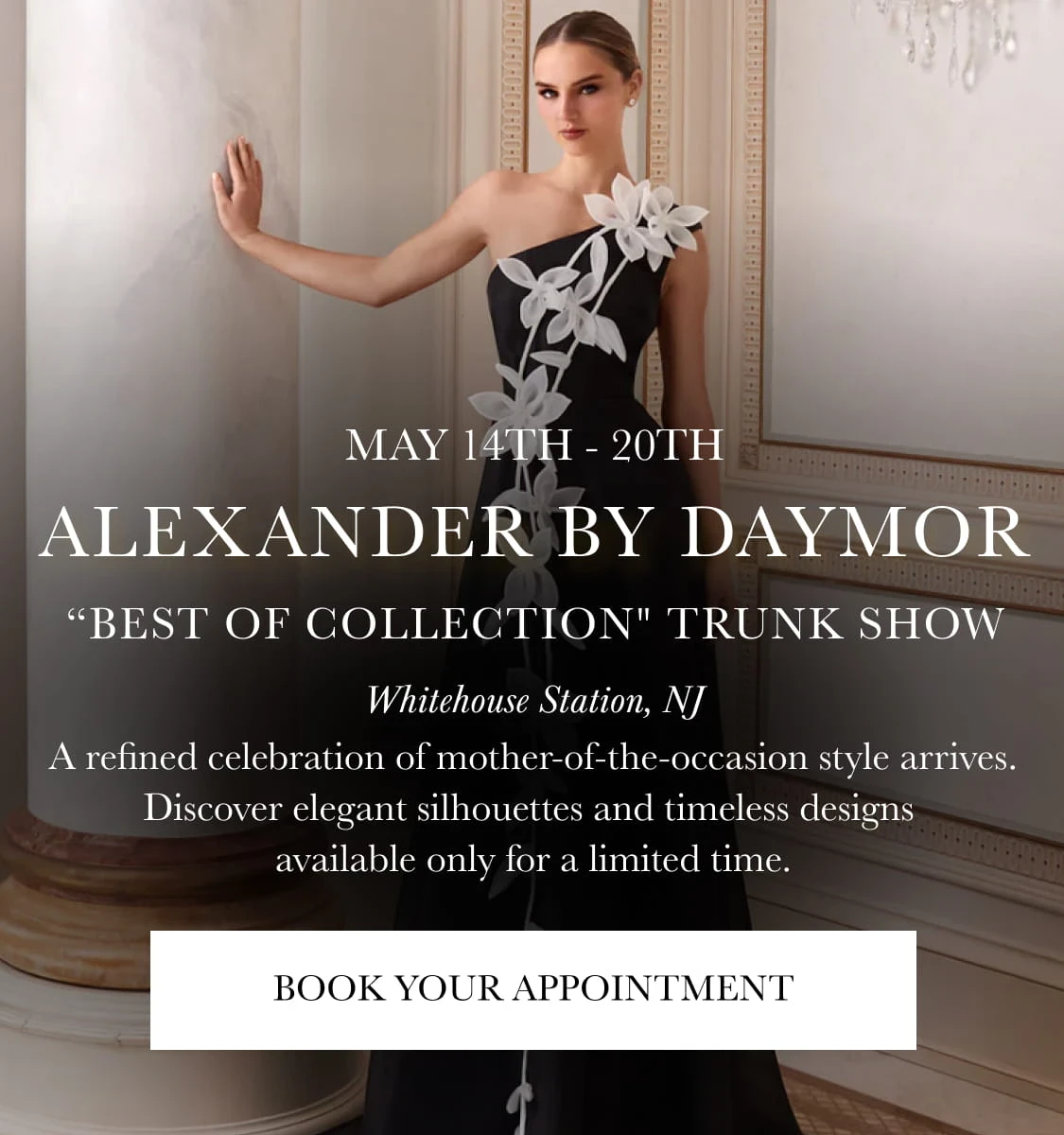 Alexander by Daymor "Best of Collection" Trunk Show Banner