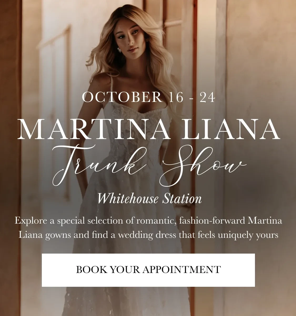 Marina Liana Trunk Show Banner