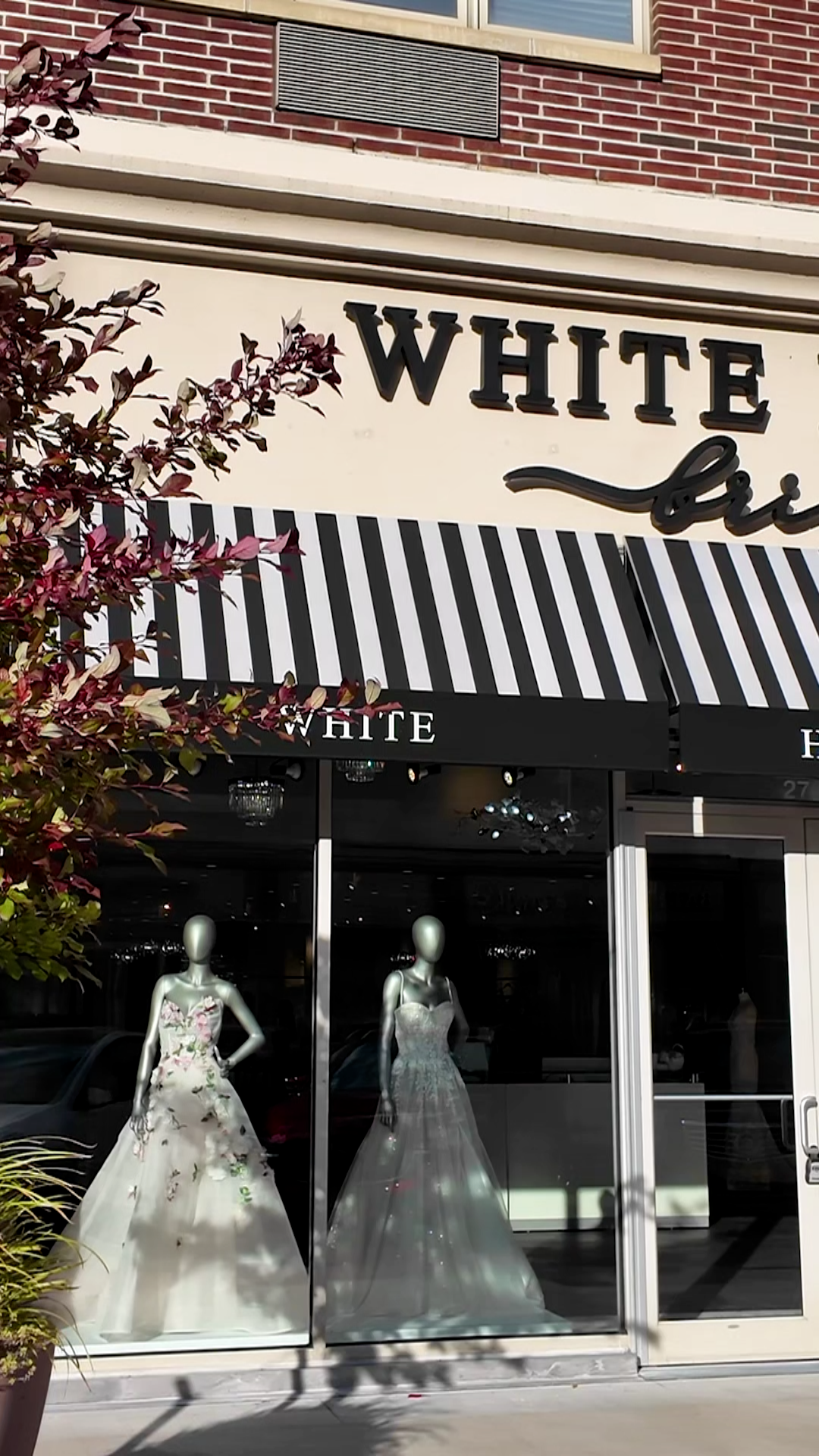 White House Bride Video Banner